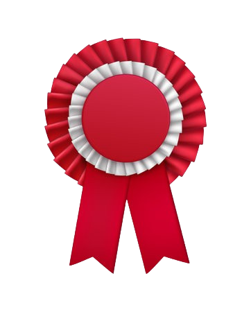 Prize Ribbon